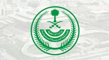 غرامة 100 ألف ريال لمؤوي حاملي تأشيرات الزيارة بمكة والمشاعر المقدسة